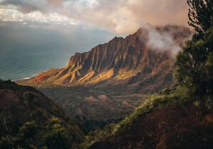 怎么提前飞机选座位 飞机提前选座位怎么选